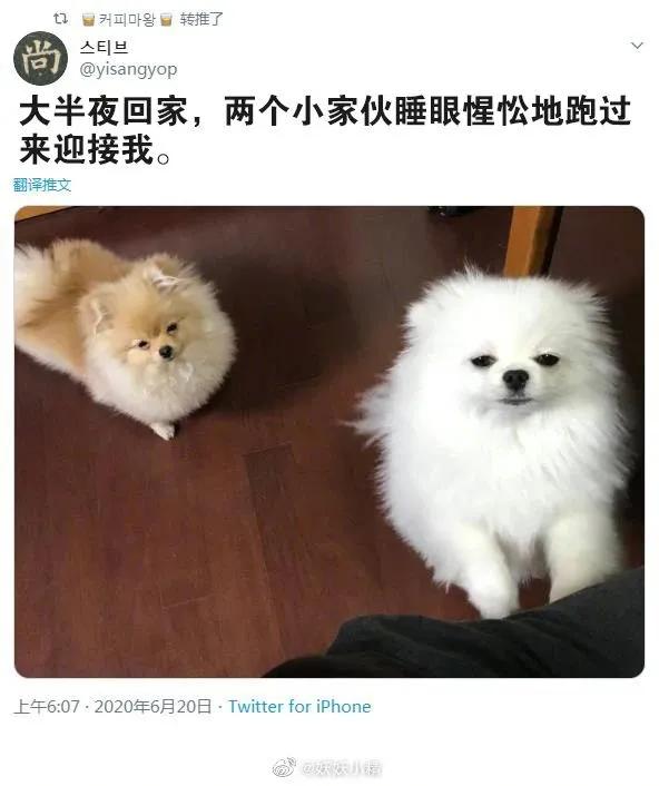 精工所有手表,精工电视手表t001