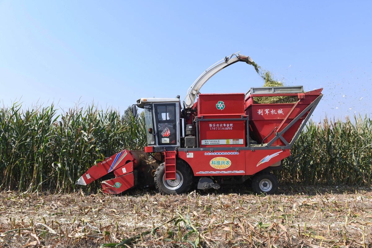 金大丰玉米收获机多少钱一台,金大丰双收玉米收获机