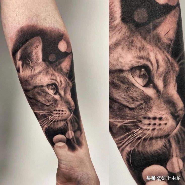 猫咪纹身图案设计,猫咪纹身图片小图案