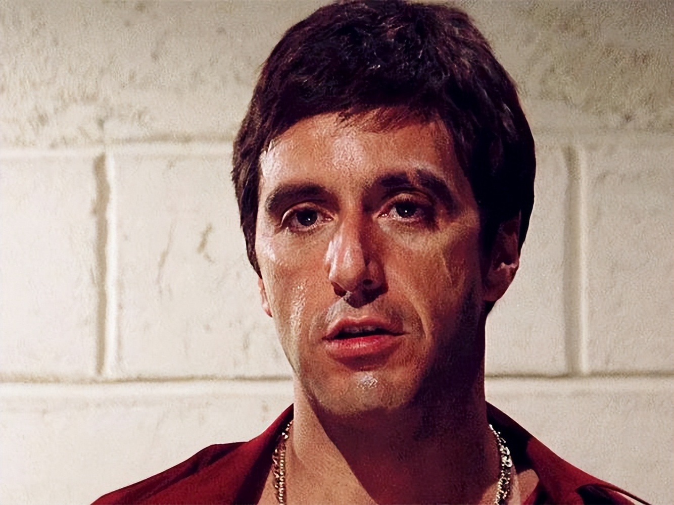 帕尔玛教学视频大全,帕尔玛经典格调