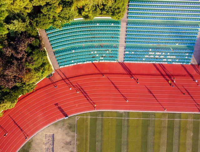 与南京林业大学为邻的日子，让我一天天爱上这所高校
