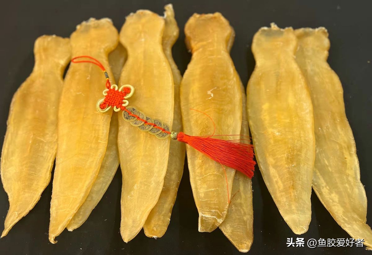 鱼胶哪个品种母比公好,鱼胶公母哪种值钱