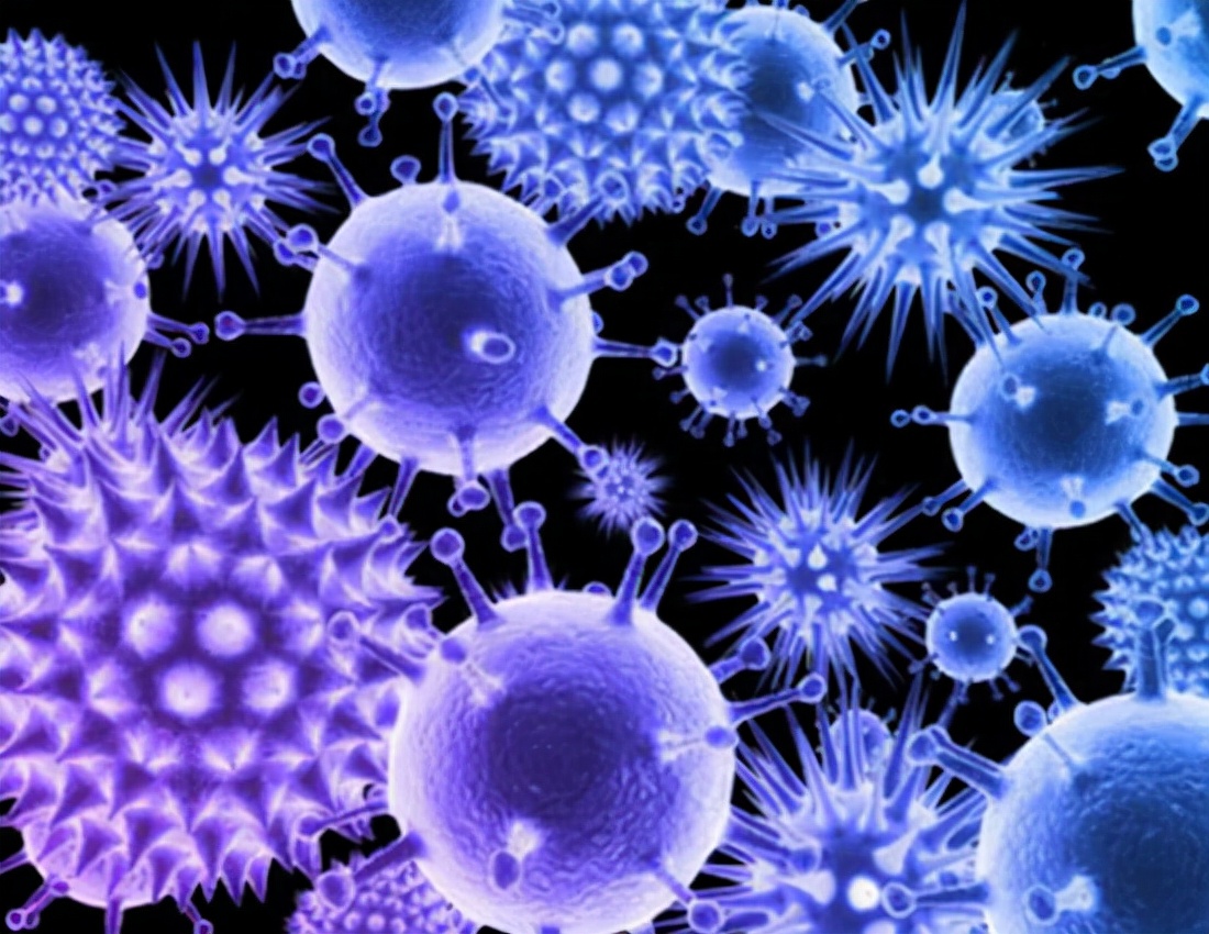 膜性肾病中药能治疗吗,膜性肾病尿蛋白反复怎么回事