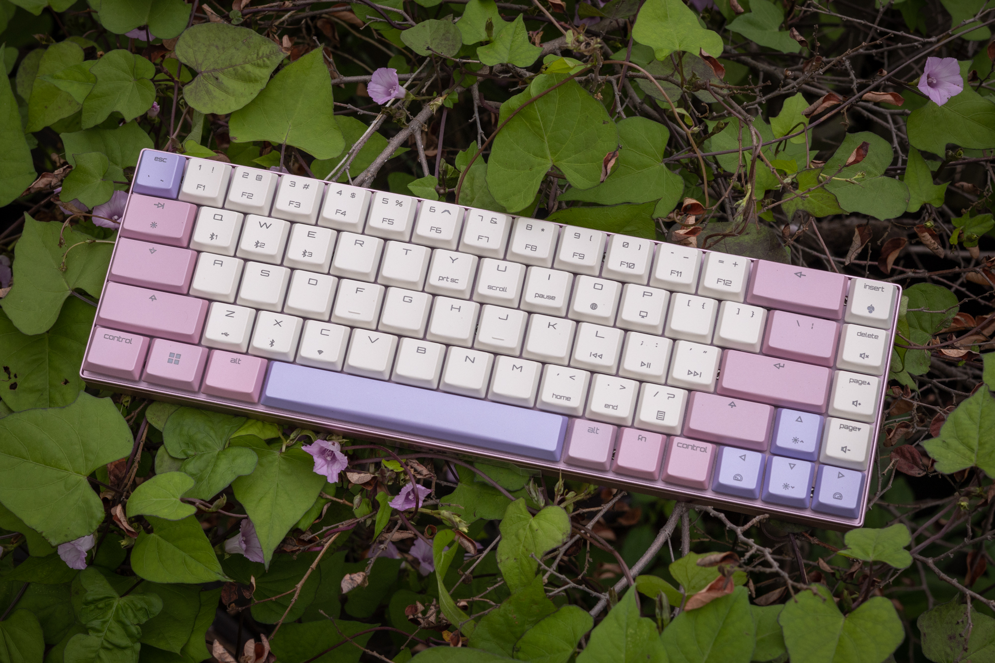 性价比高好看的键盘推荐黑轴,键盘推荐高性价比红轴