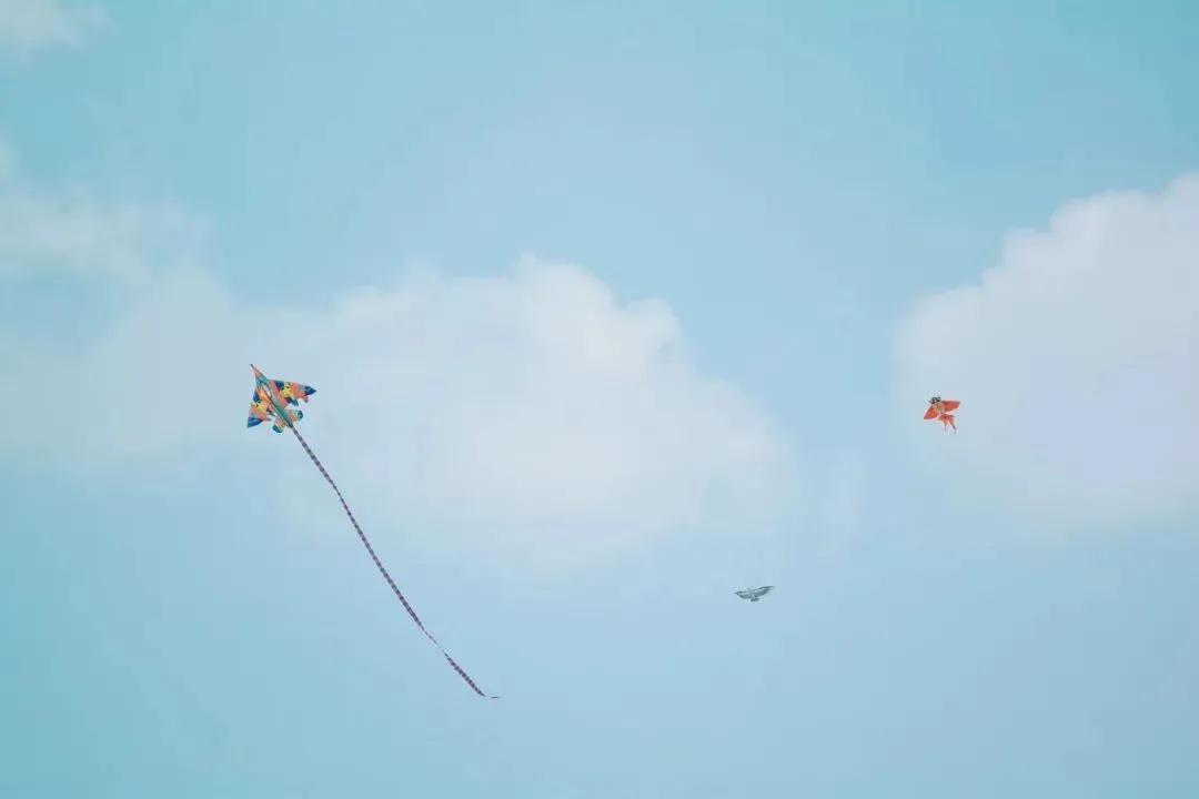 大草坪放风筝,草坪大风筝