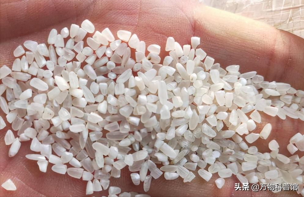 超市买的大米为什么煮不烂,为啥大米放超市里很久都不坏