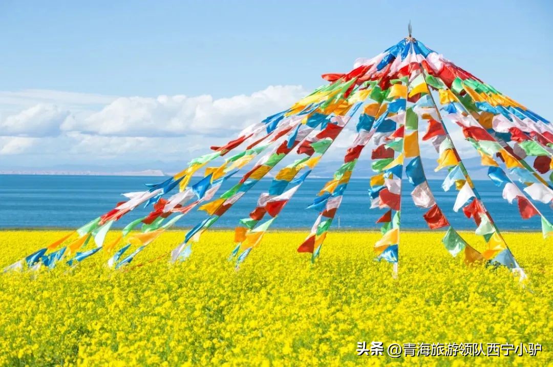 西北大环线7天6晚包车游,大西北环线6日游攻略