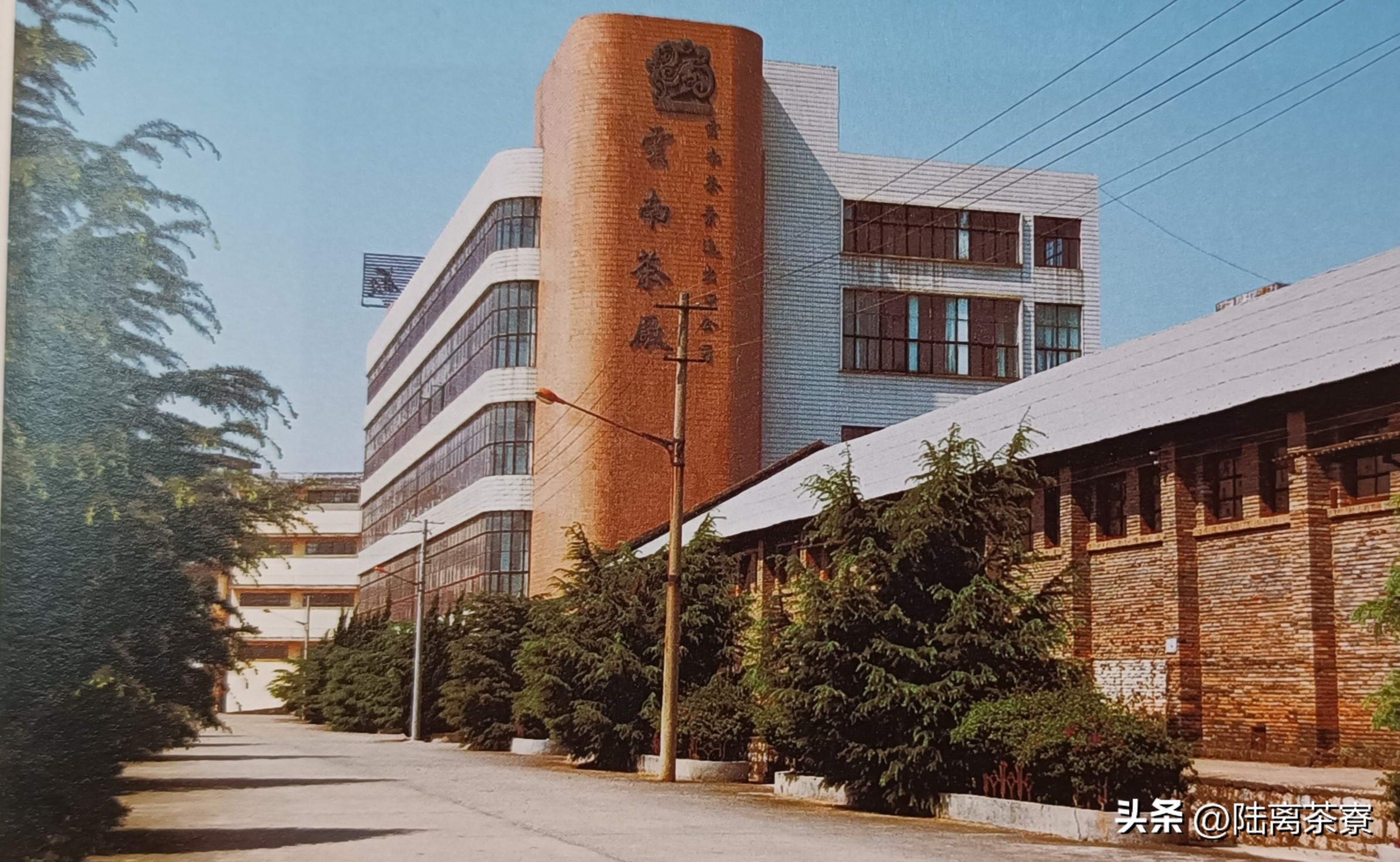 普洱茶在东南亚市场,云南普洱茶的国外市场