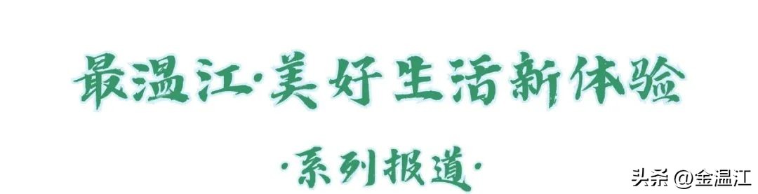 小小创舍里的生活美学，是日常烟火，也是诗和远方