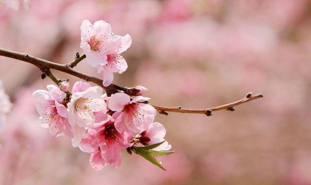 没有朋友没有社交只有自己一个人,没有朋友没有社交内心孤独怎么办