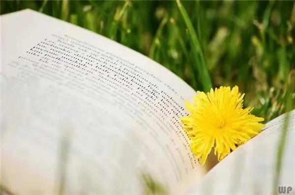 在未来的工作中努力上进的句子,为了生活努力上进的励志的句子