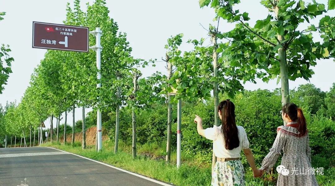 光山县司马光油茶园,河南光山司马光油茶园