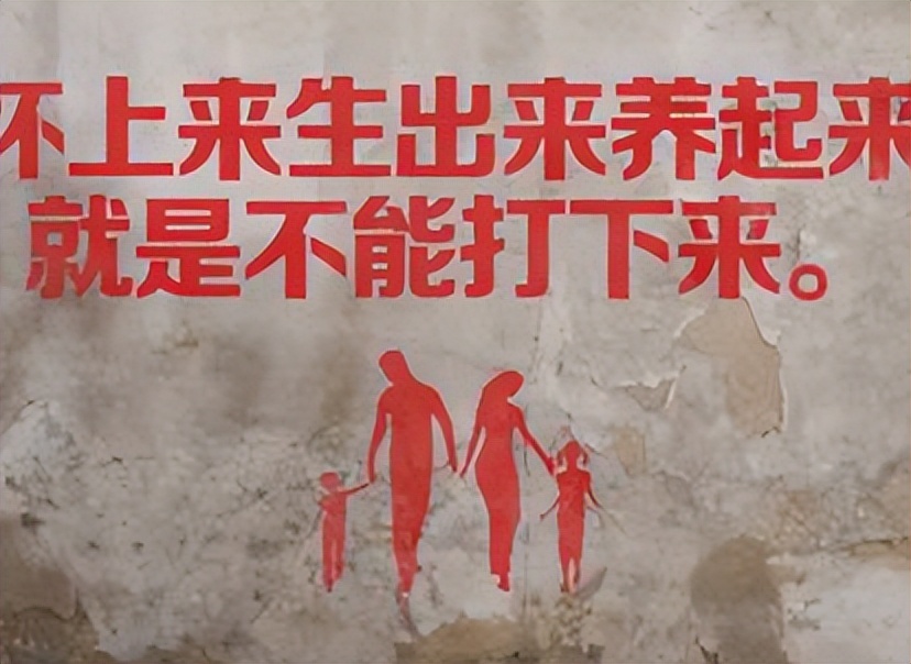 罗马尼亚生育税,罗马尼亚生育干预后果