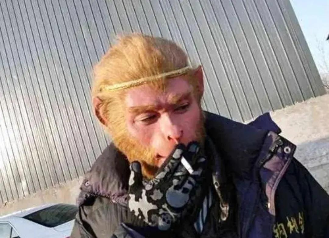 你见过哪些搞笑的视频,你看到过哪些有意思的头像