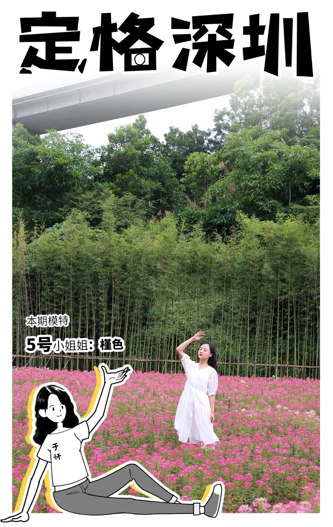 深圳蝴蝶谷花海,深圳湾公园花海3月