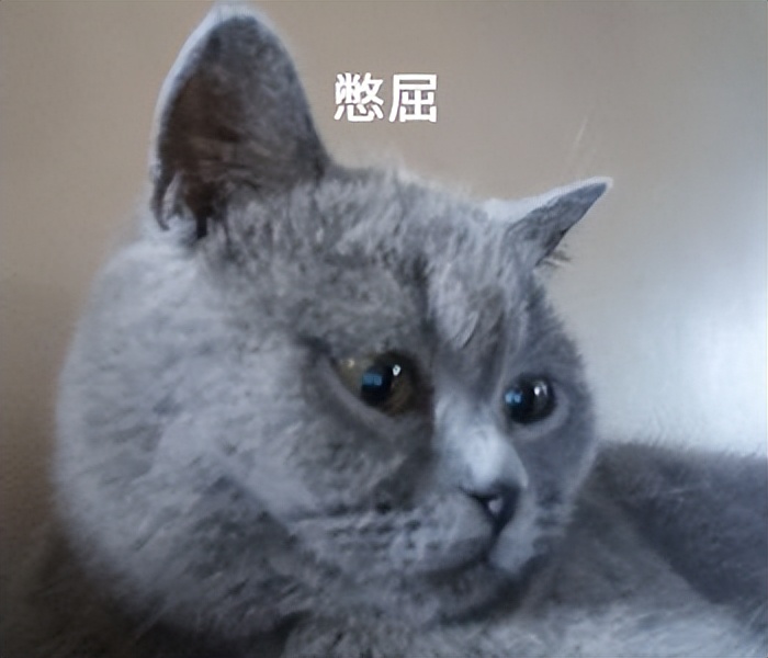 法定节假日加班不给加班费只调休,公司不给加班费只允许调休合理吗