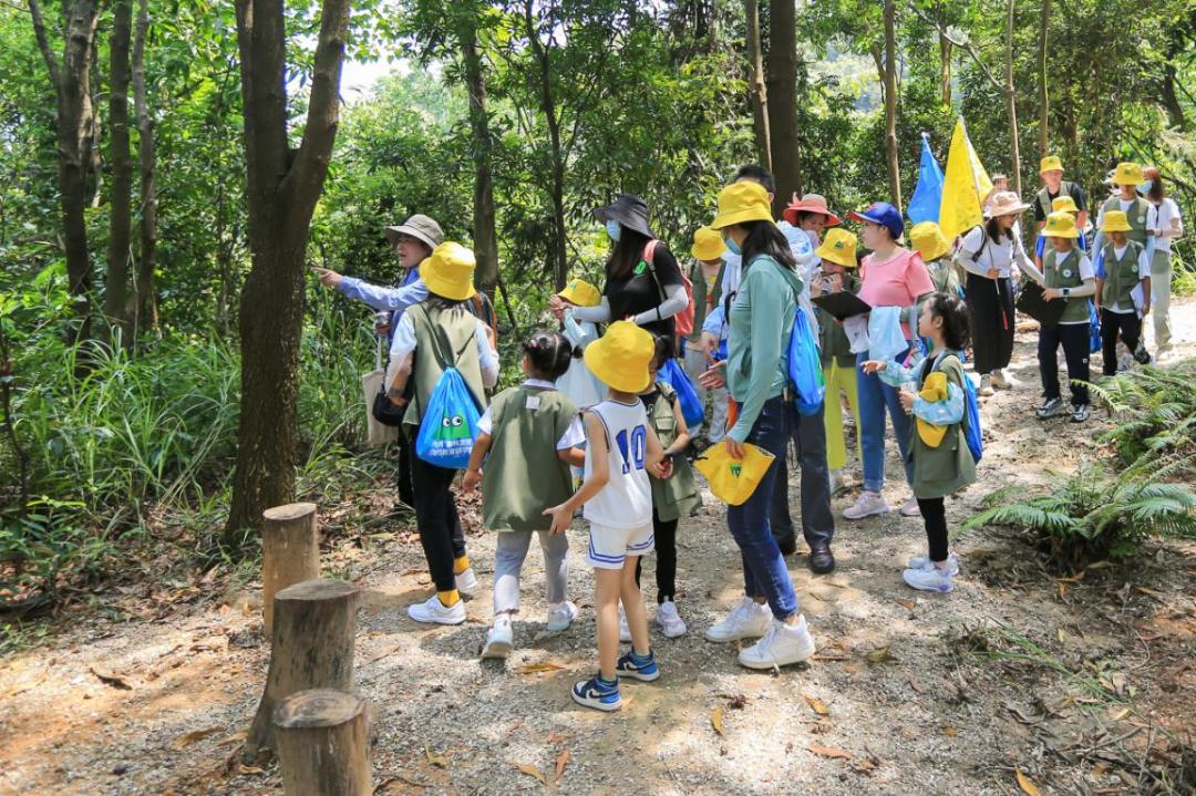 端午假期光明活动超精彩！音乐live、摘荔枝、包粽子……等你解锁！