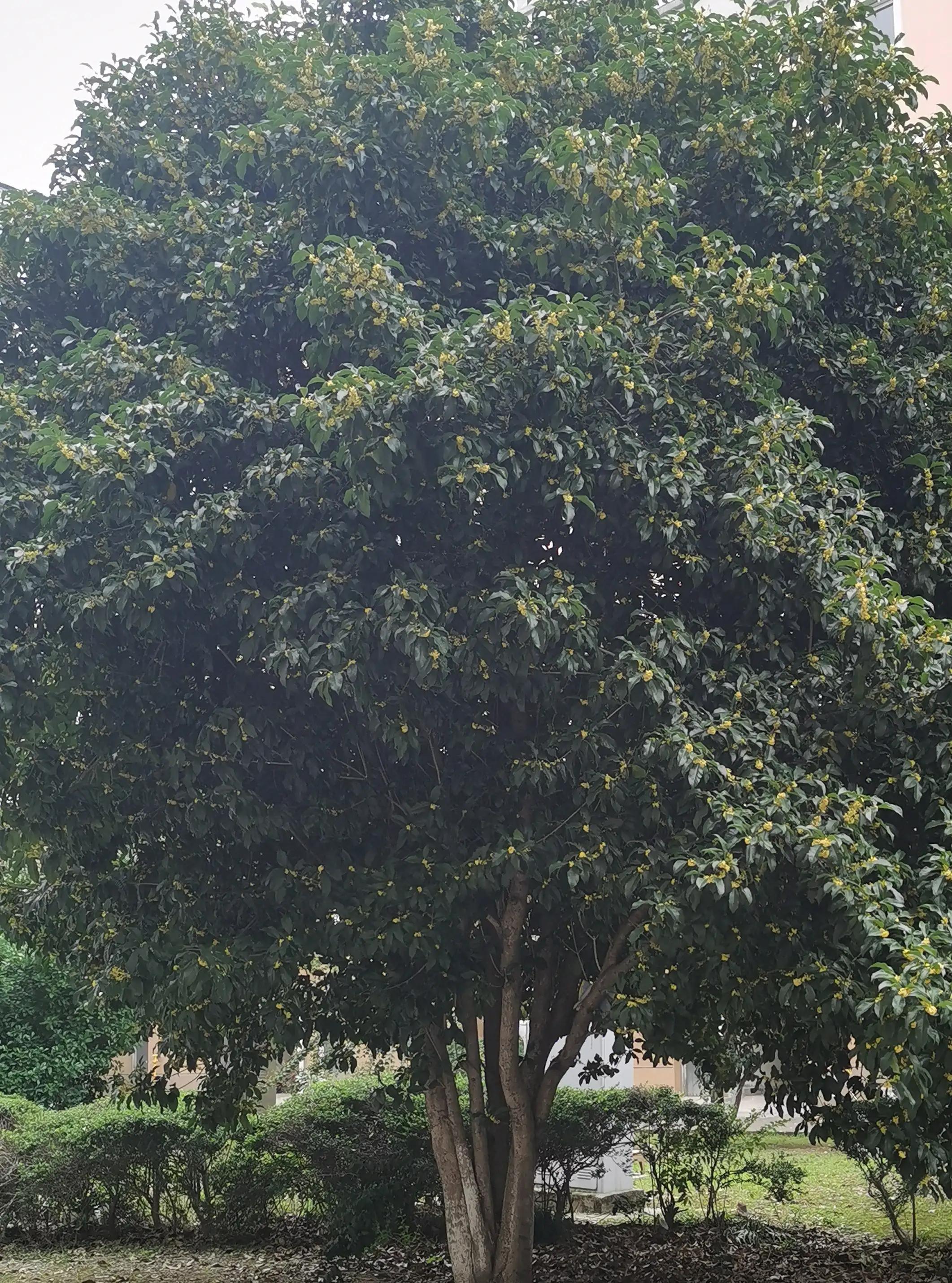 宁波北仑最新疫情ktv,宁波疫情消息北仑ktv