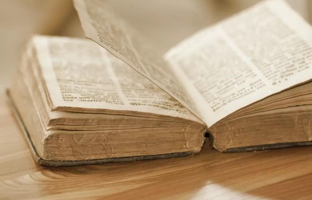 读书可以让我们变得越来越聪明,读书可以让你变得更有智慧