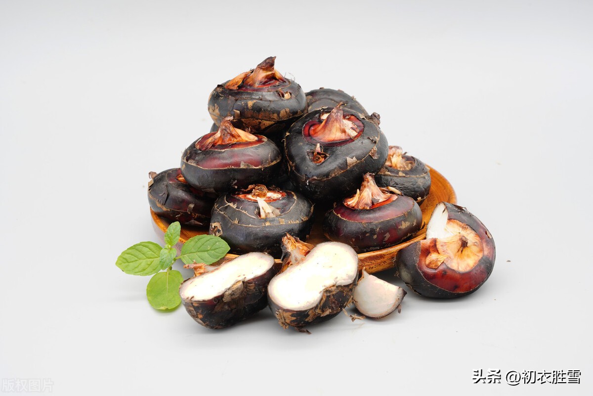 荸荠诗句,荸荠古诗