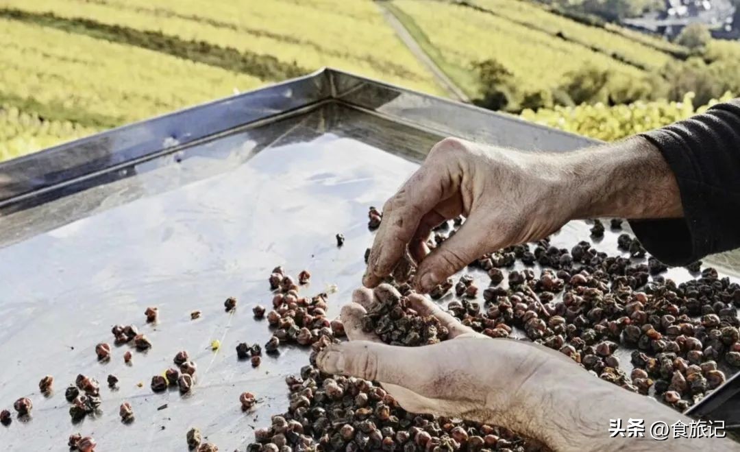 德国捡漏古董,德国出名的酒庄