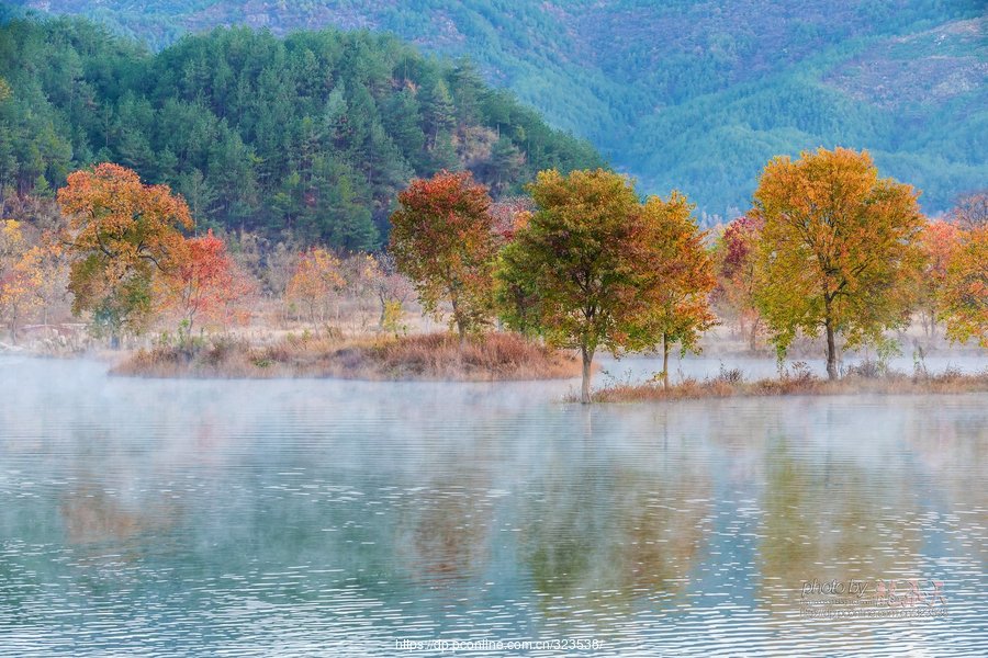 作家菡萏的散文,作家菡萏的美文