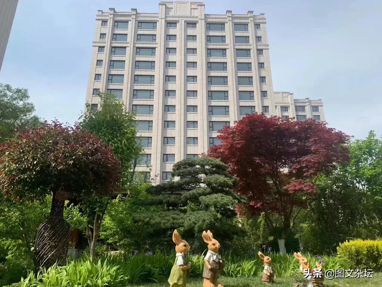 老婆赌钱输光被丈夫打,当老婆赌博输了该怎么安慰