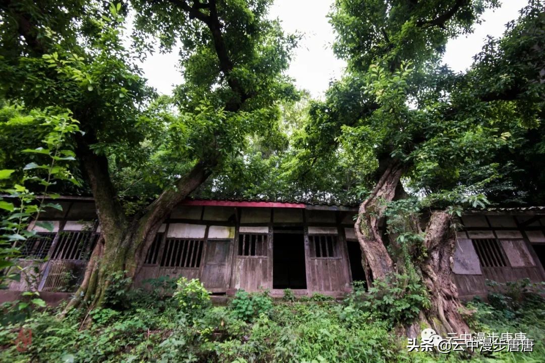 岳池旅游景点大全推荐,行走的美景