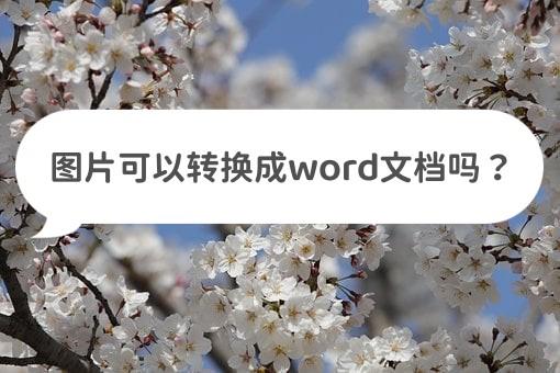 图片文档如何转换为word文档,将图片转换为word电子版
