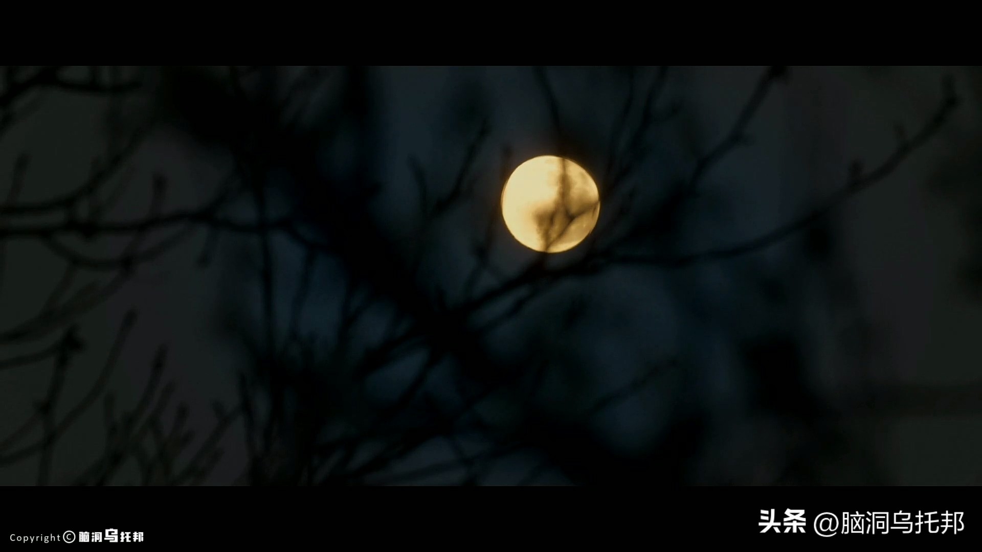 台湾杀妻案真相,童言无忌杀妻案