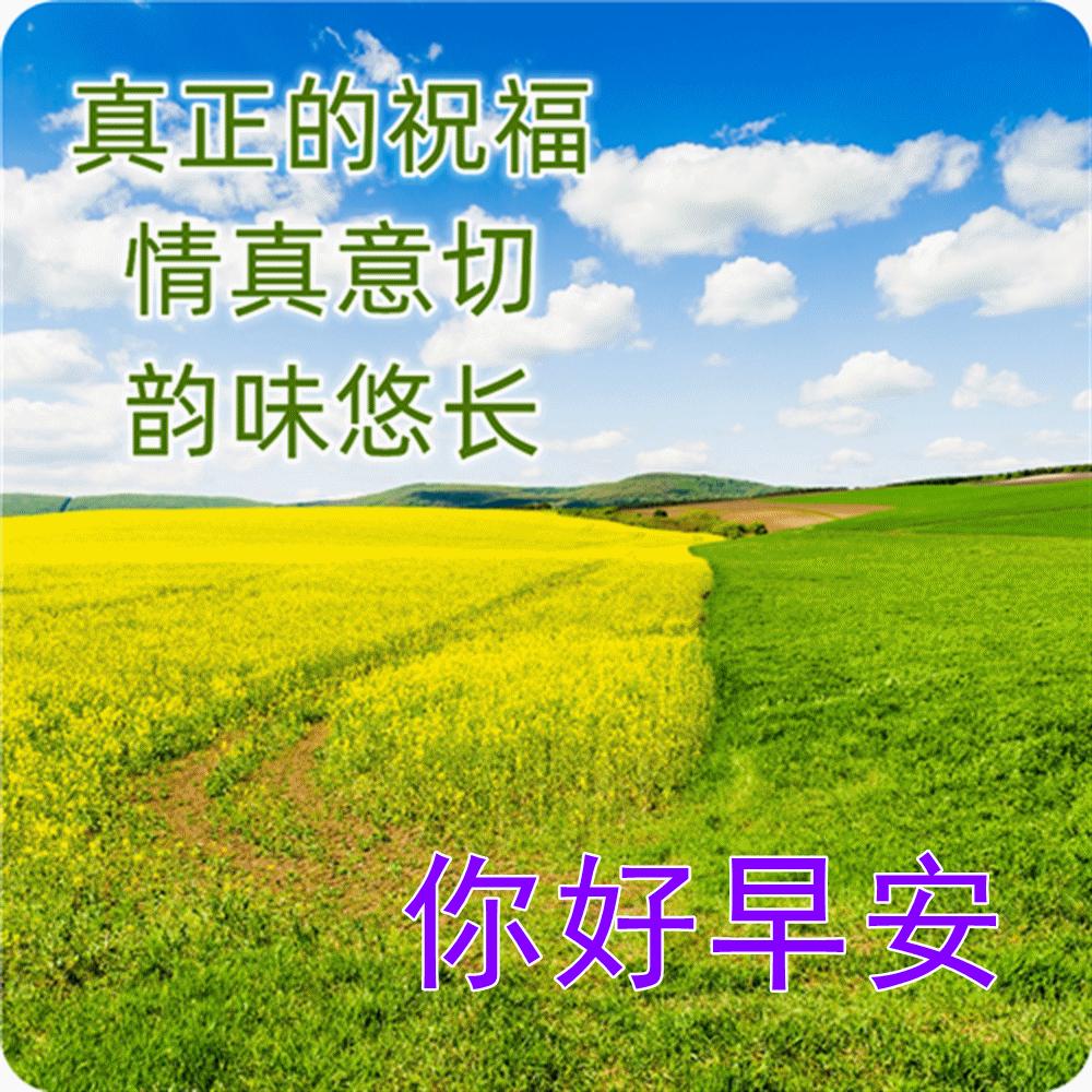最漂亮的早安祝福图片和问候语 (2023年6月18日早上好祝福图片)