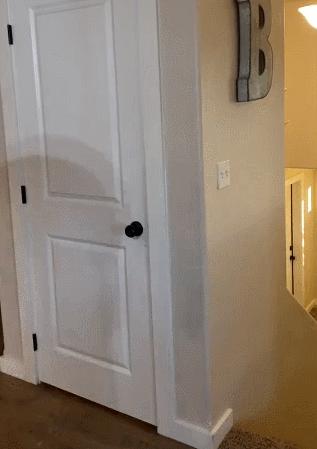 公鸡：他们在做啥午餐？猫：你老婆炖土豆