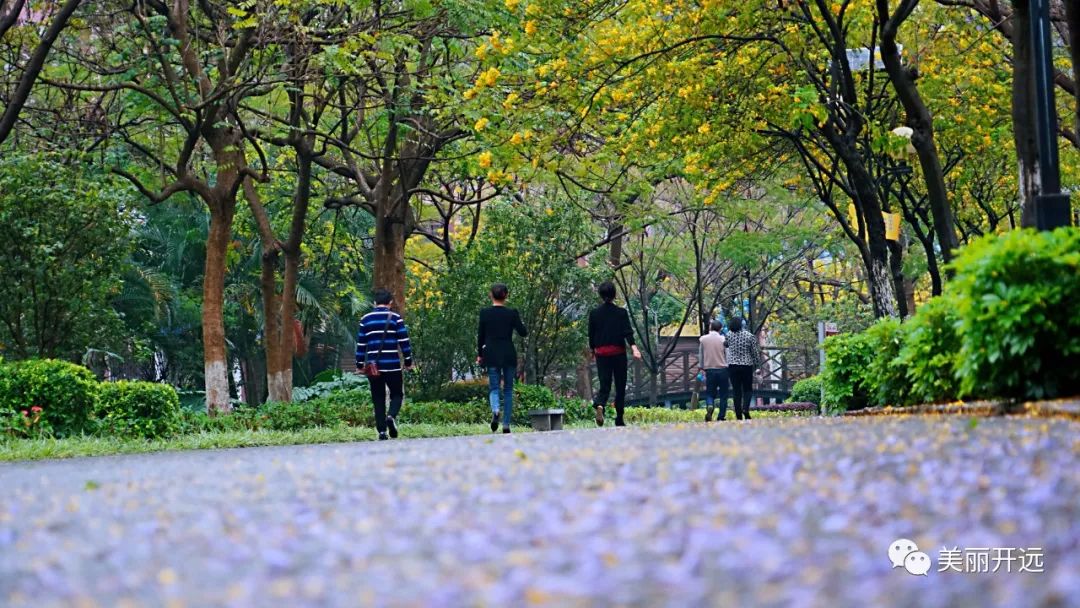 杩愬姩娲诲姏鍐插嚮,杩愬姩娲诲姏婊℃弧