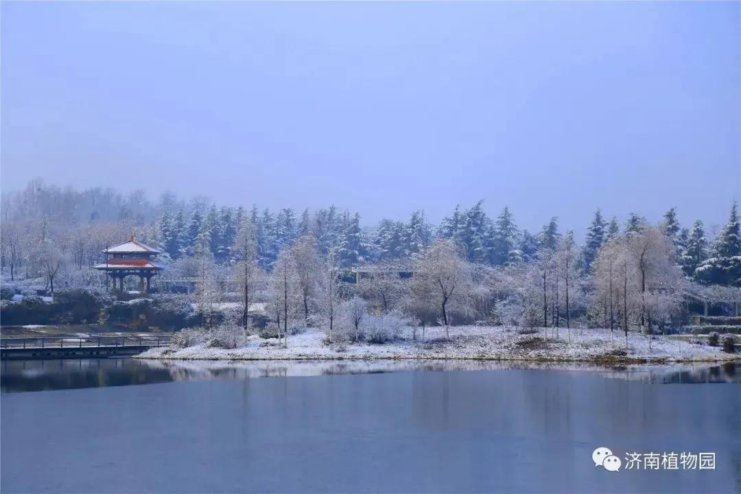 暖冬旅游路线推荐,冬日暖阳旅行攻略