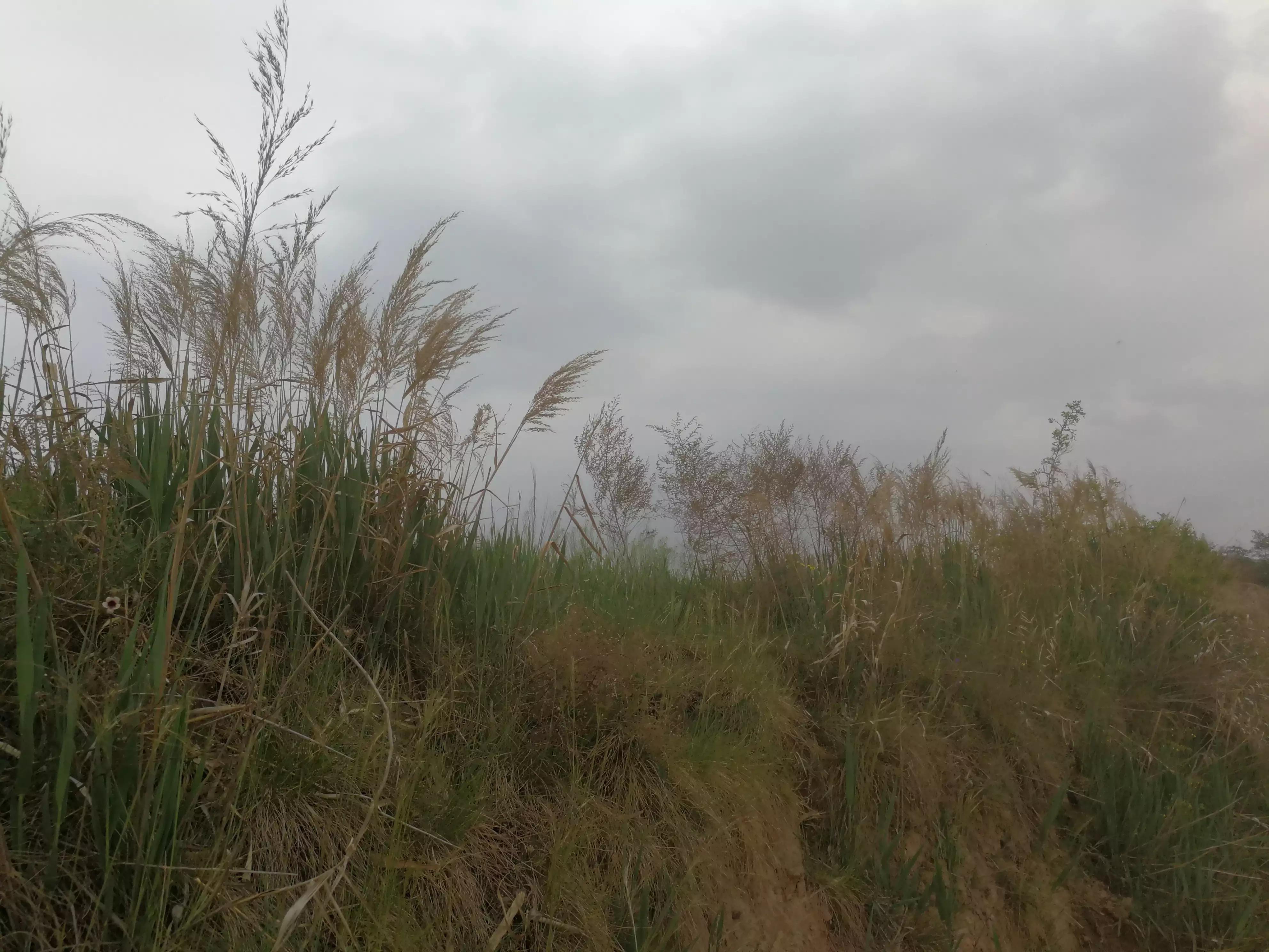 轻松学英语每天15分钟,英语每日一练初学者