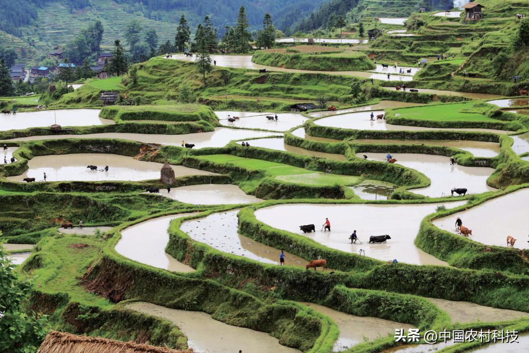 注重农耕文化与现代农业的衔接,农耕文化在休闲农业中的15种表现