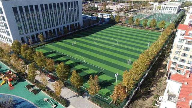 威海森林氧吧,夏天威海张村附近的公园