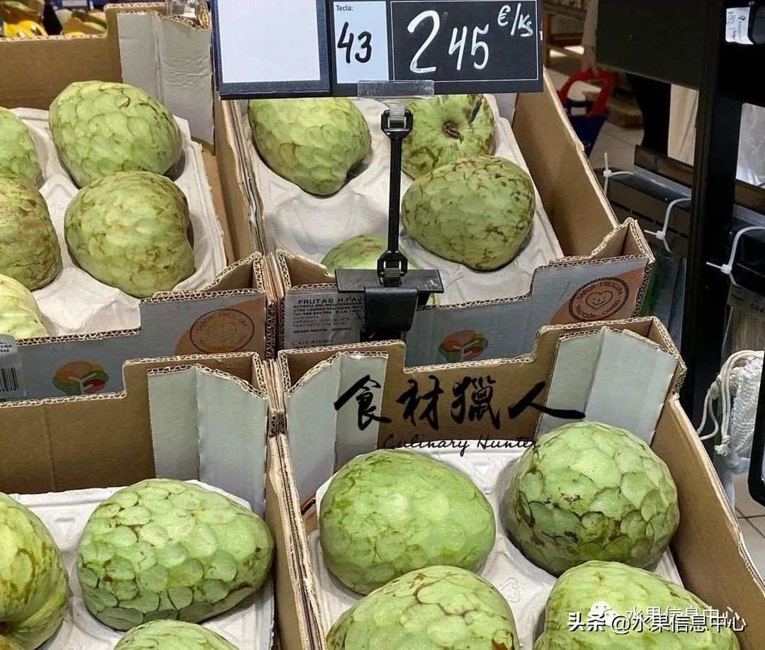 榴莲释迦又叫什么,释迦图片高清大图