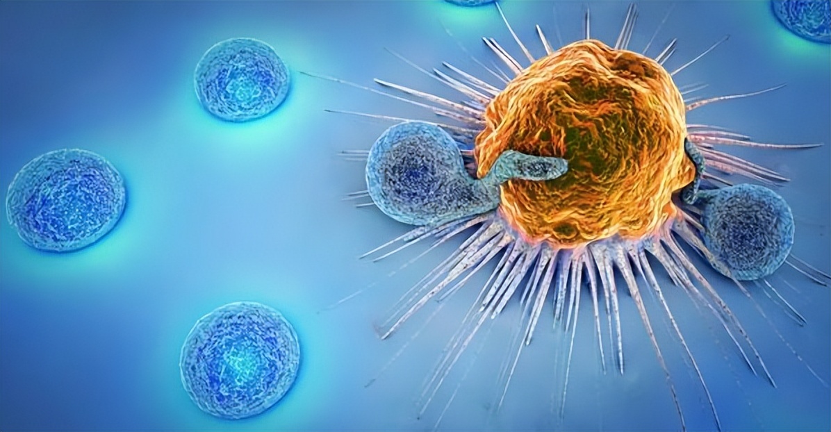 孩子经常感冒抵抗力差是什么原因,小孩抵抗力差老是感冒有没有食疗