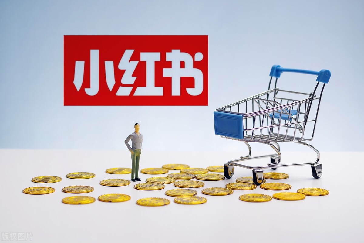小红书跨境电商平台,一本书搞懂跨境电商