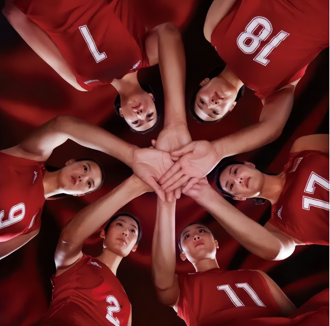 白浪郎平女儿个人资料,郎平老婆白浪现状