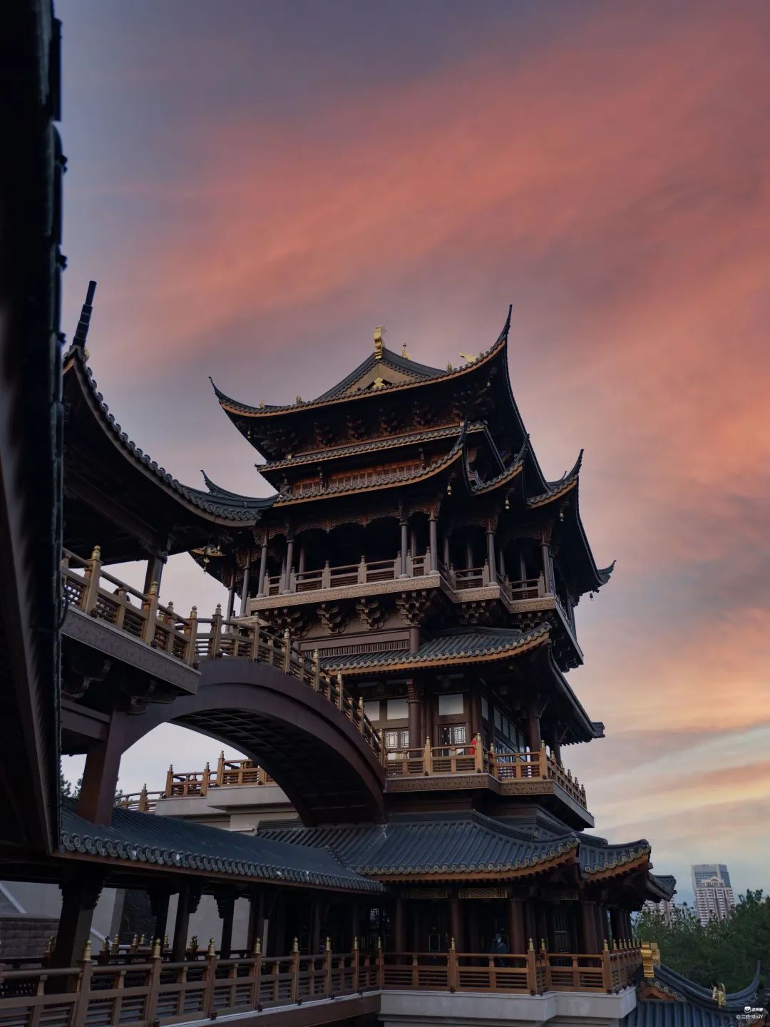 这个小县城藏了无数神仙美食,温州这座被低估的美食之城