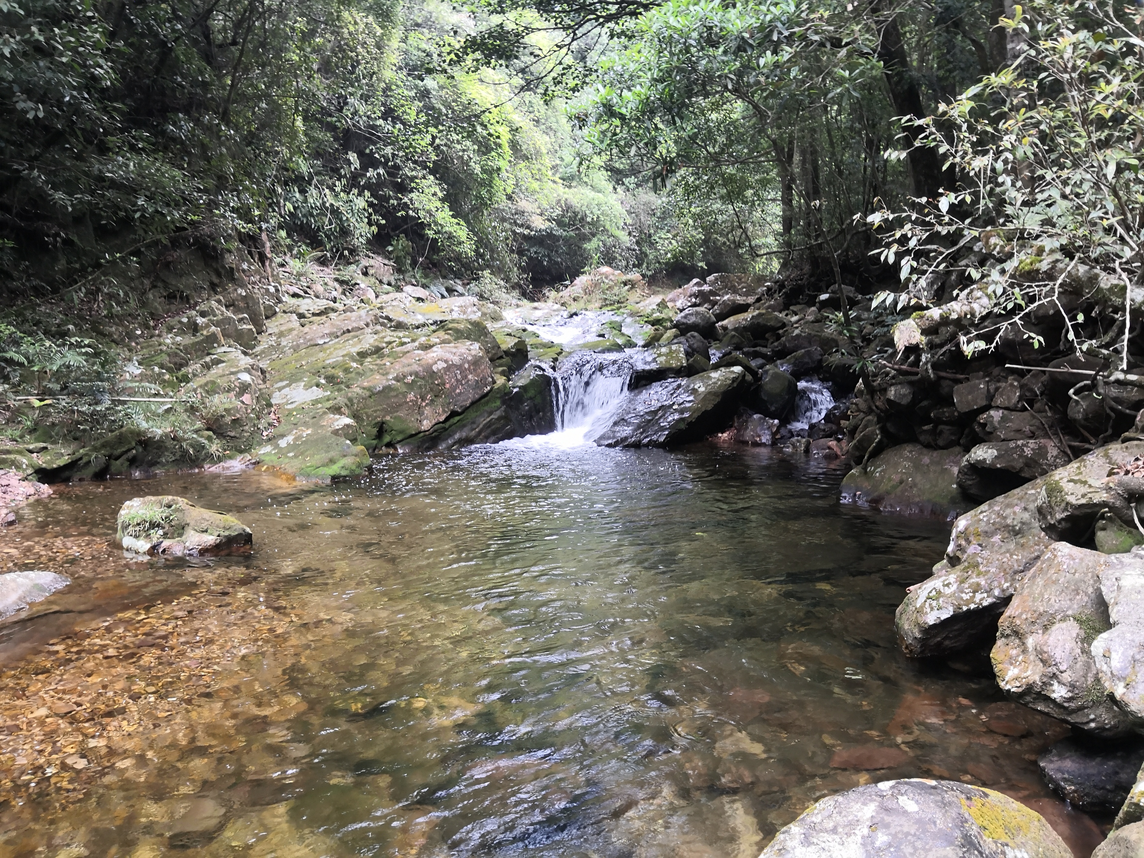 广西金秀冬天美景,广西金秀瑶寨凉快吗