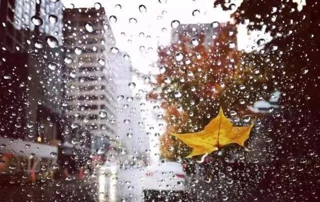 昆明气候四季如春的主要原因,昆明的气候为什么会四季如春呢