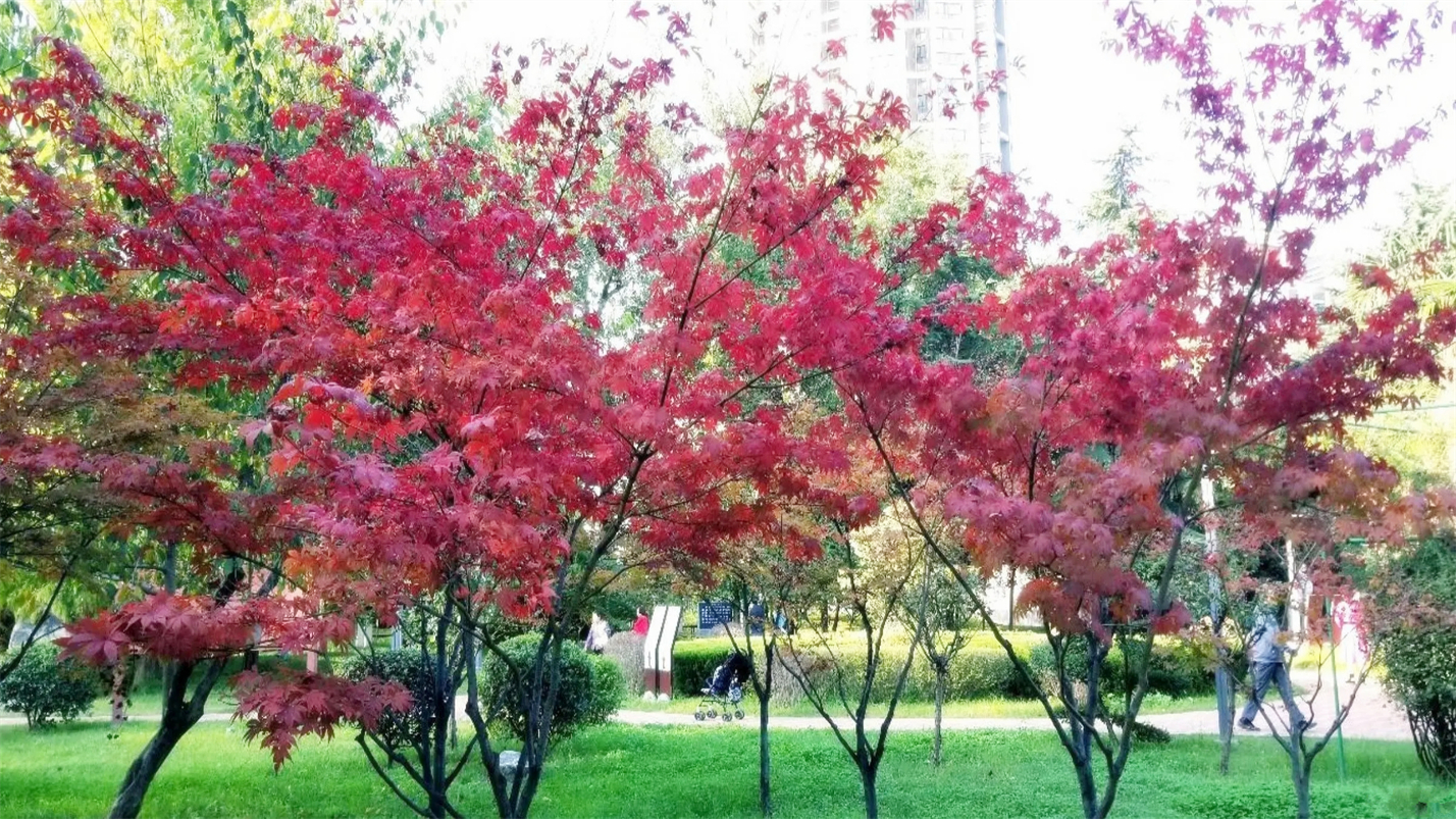 雨过天晴的惬意,雨过天晴很惬意的句子