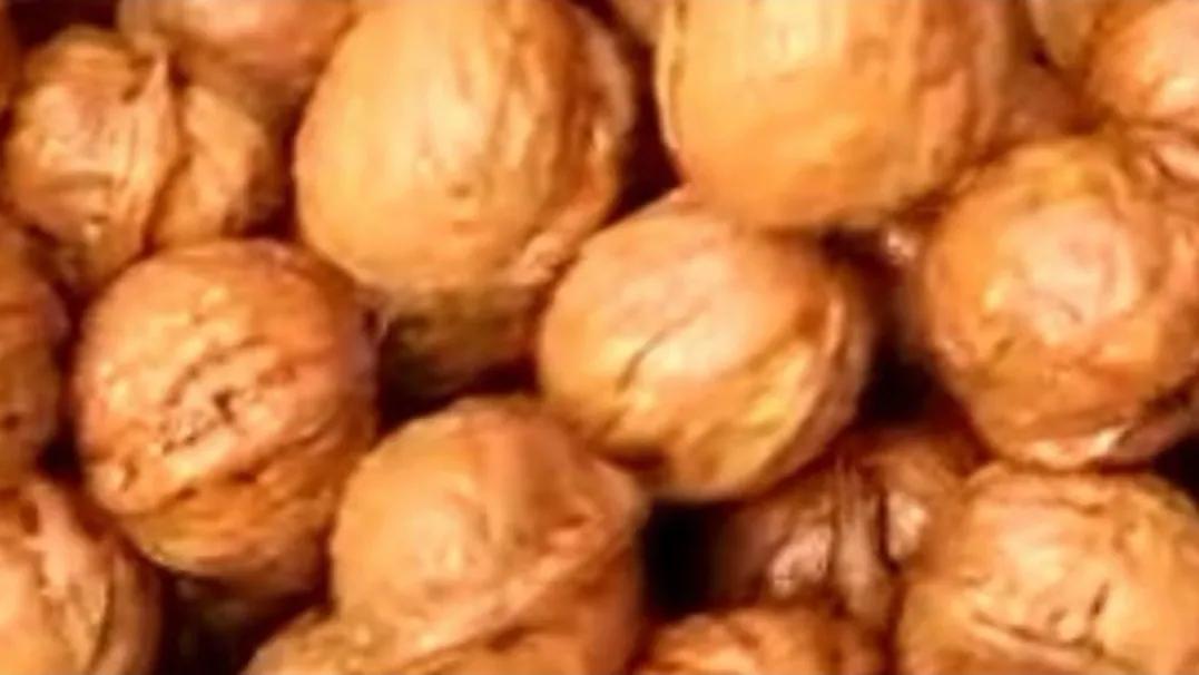 冬天如何吃到鲜核桃,鲜核桃吃着过瘾