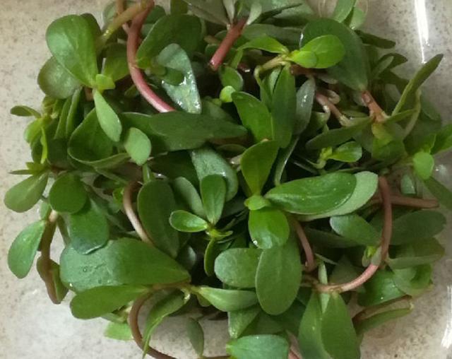 fnh局灶性结节增生有什么忌口的,甲状腺结节和乳腺结节有什么忌口