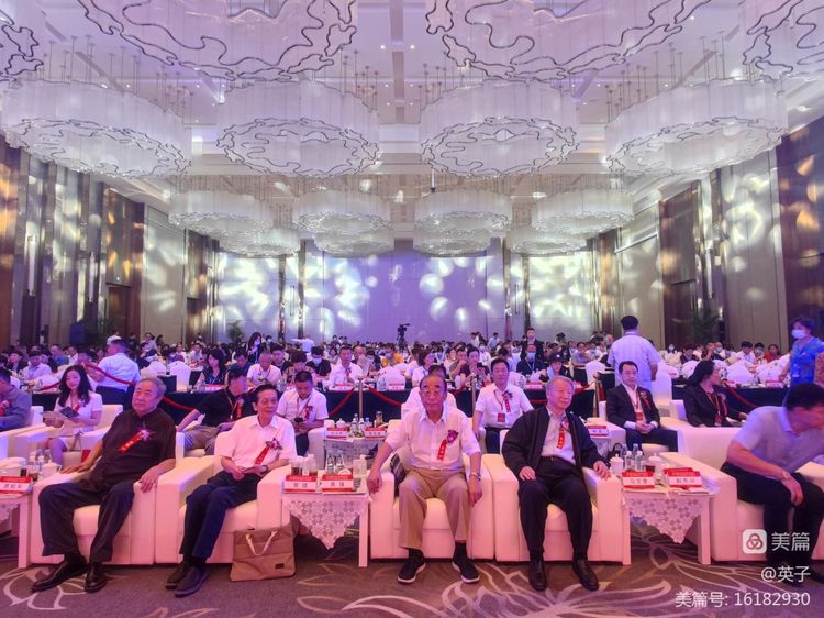 合阳秦晋集团杨百章是哪里人,杨百章陕西秦晋集团董事长