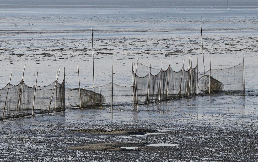 完美日记营销存在的问题及对策,完美日记过度营销