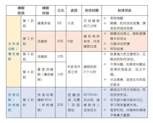 心理学科普之二十一意识状态之睡眠